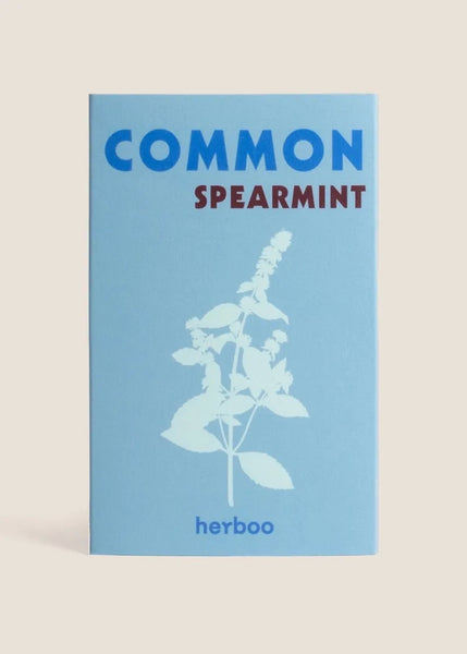 Common Spearmint seeds