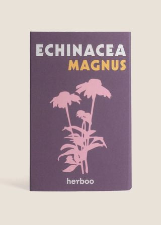 Echinacea Magnus