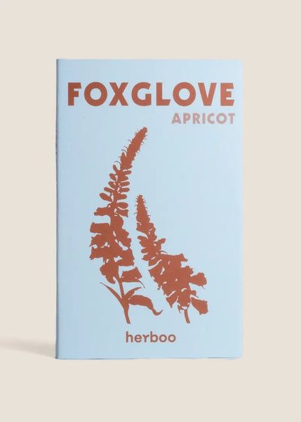 Foxglove ‘Apricot’ Seeds
