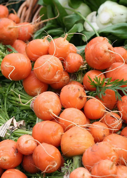 Carrot ‘Paris Market Atlas’ Seeds
