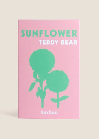 Teddy Bear Sunflower seeds