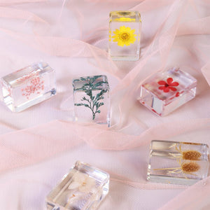 Wildflower cube - small