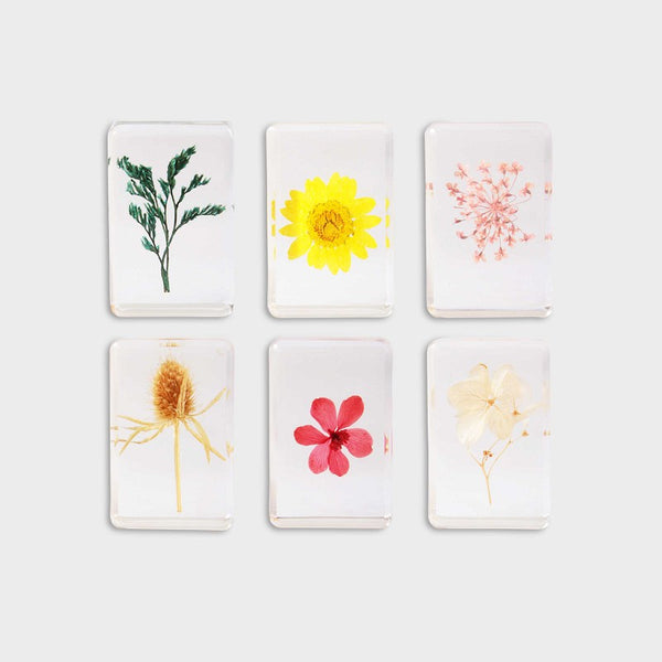 Wildflower cube - small