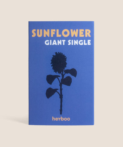 Giant Sunflower seeds